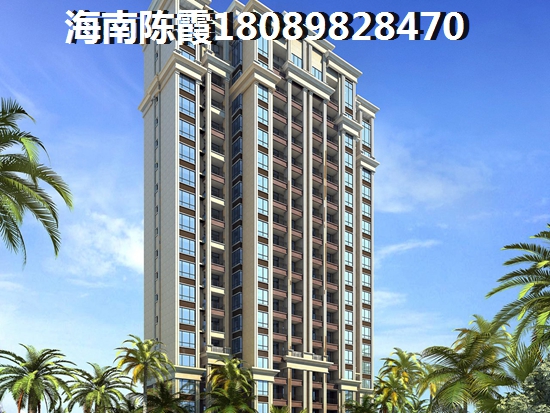 海口买房理由2 海口买房理由2