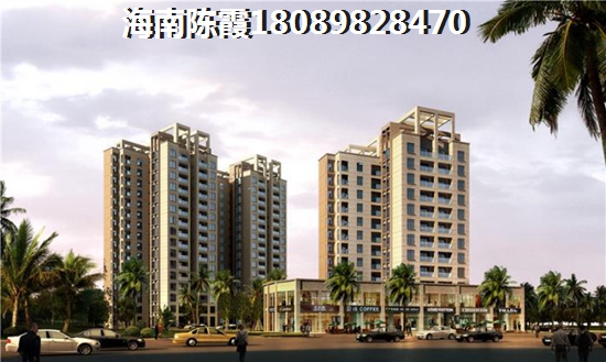 海南天悦湖畔鸟瞰图