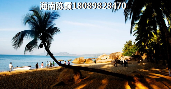2020海南房价走势图