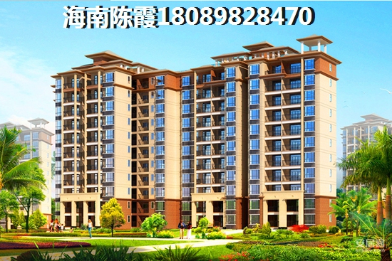 >2020国美·海棠湾买房指南