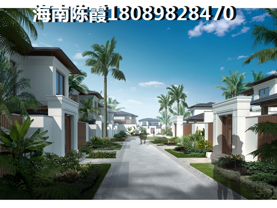 海南中基美域纸得touzi吗？