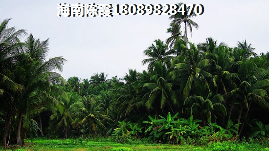 琼海房价 琼海房价