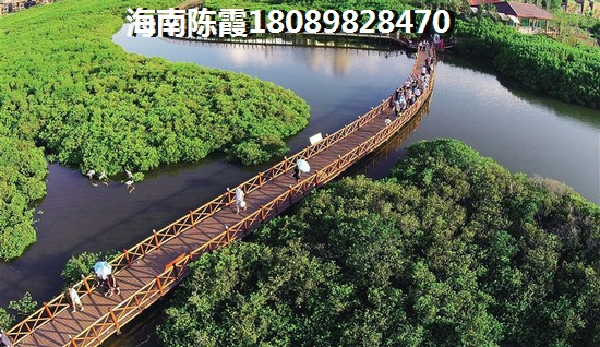 儋州城投林海风情楼盘点评 儋州城投林海风情楼盘点评