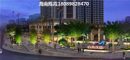 儋州买房理由