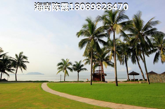碧桂园海上大都会能买吗