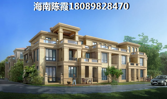海南60万房子在什么位置？3