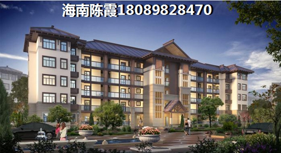 2022醉新陵水香水湾买房指南~