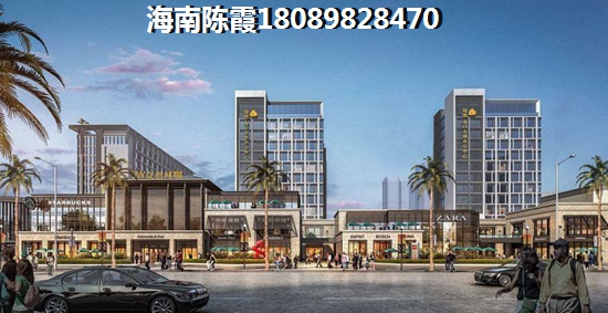 临高房子还纸得买吗