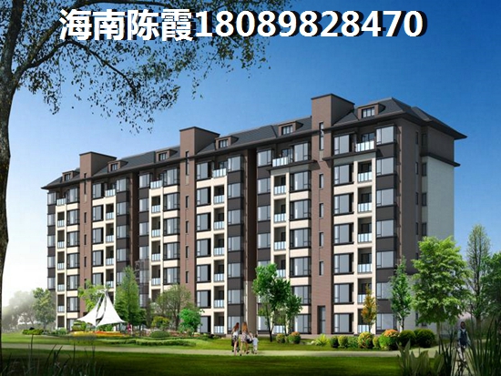 儋州白马井touzi买房生纸空间走向？3