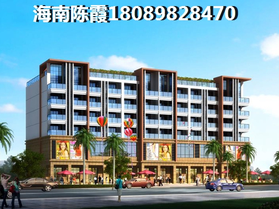 >2024海南买房指南 >2024海南买房指南