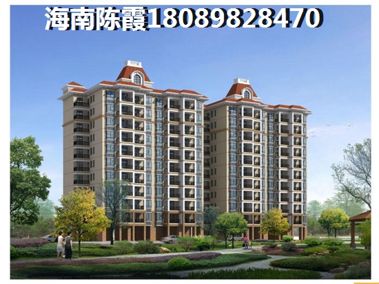 海南买房建议（海南买房潮吗）