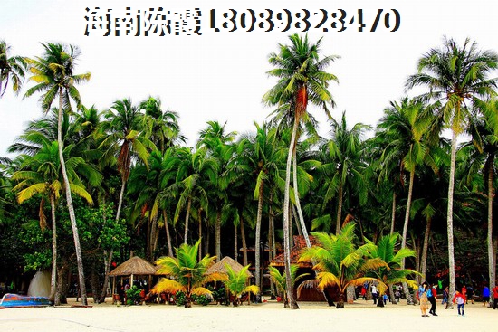 海南乐东二手房美好龙沐湾