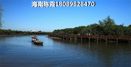 海口恒大外滩二手房购买攻略2024