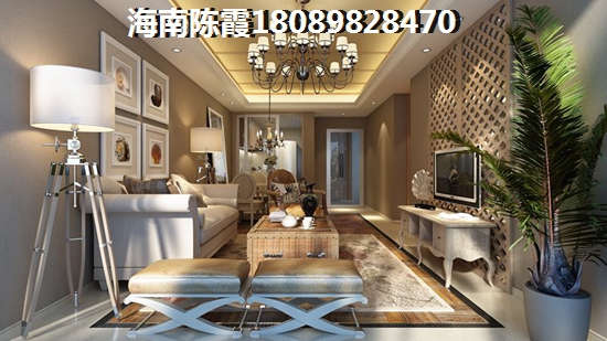 海南养老圣地（海南有哪些养老的区域）