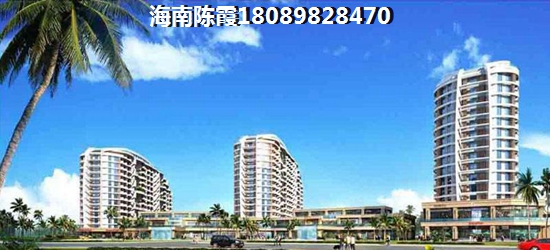 滨海贵族的醉新价格多少？