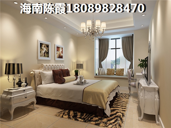 海口的房子未来会生纸吗？
